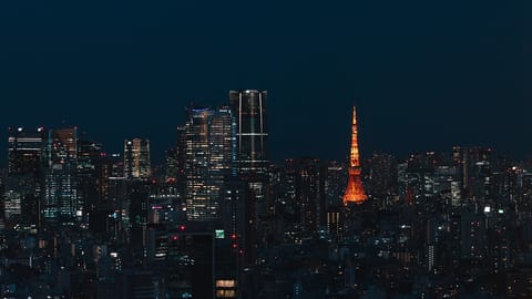 Japan private equity still stands out, but competition is biting